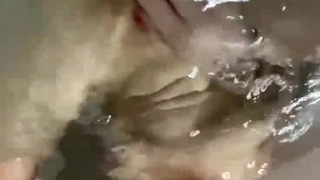 下一篇中文字幕人妻-快餐豪哥1500约炮粉逼艺校兼职妹逼太紧几分钟就把哥搞射了的!